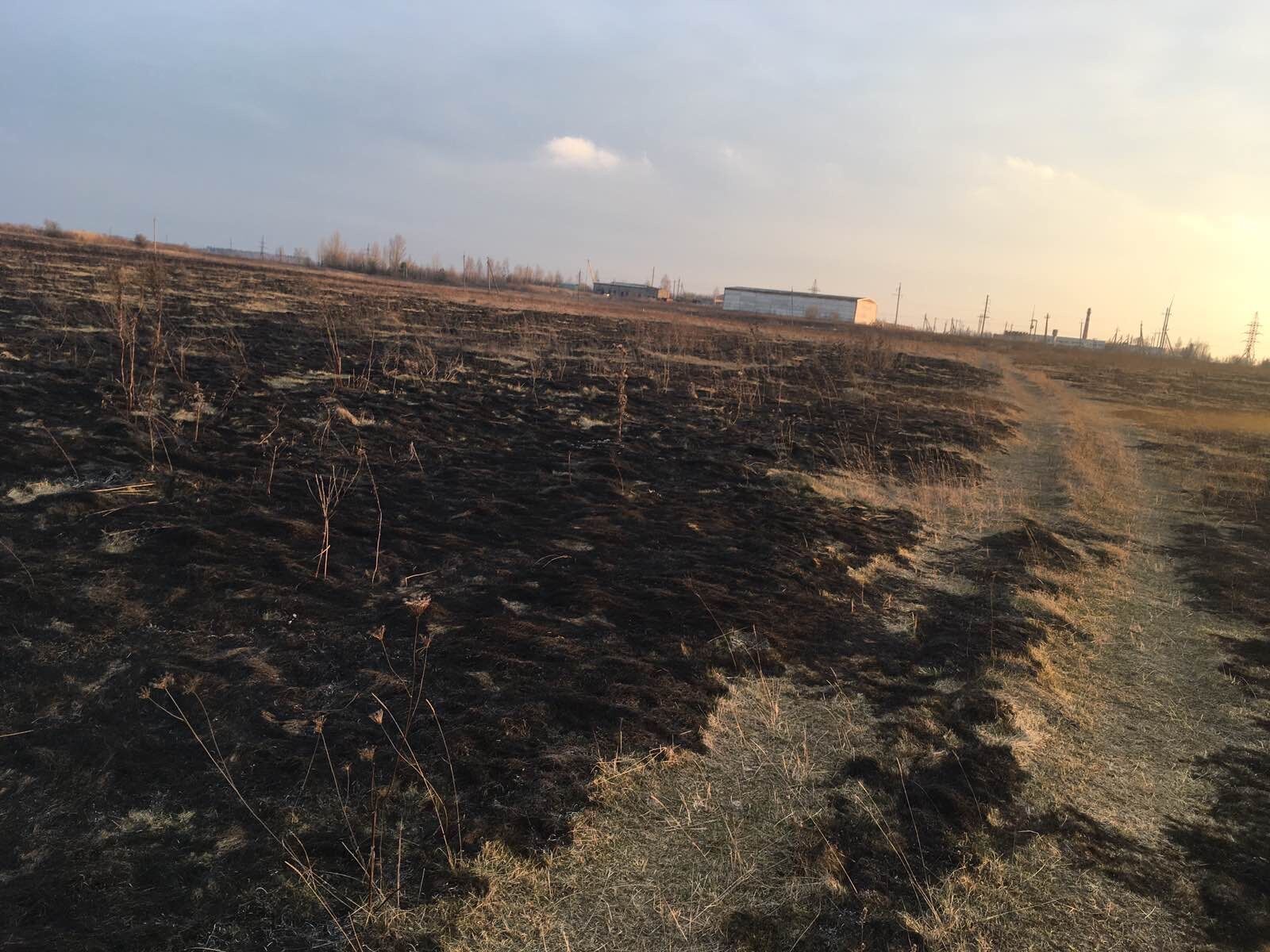 Житомирська область: за минулу добу рятувальники ліквідували 6 загорянь сухої рослинності