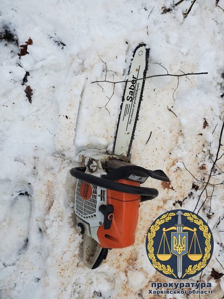 Понад 280 тис. грн. збитків: прокуратура виявила факт незаконної вирубки лісу