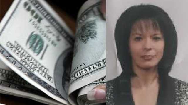 Светлана Литош: как стать мультимиллинершей работая в налоговой