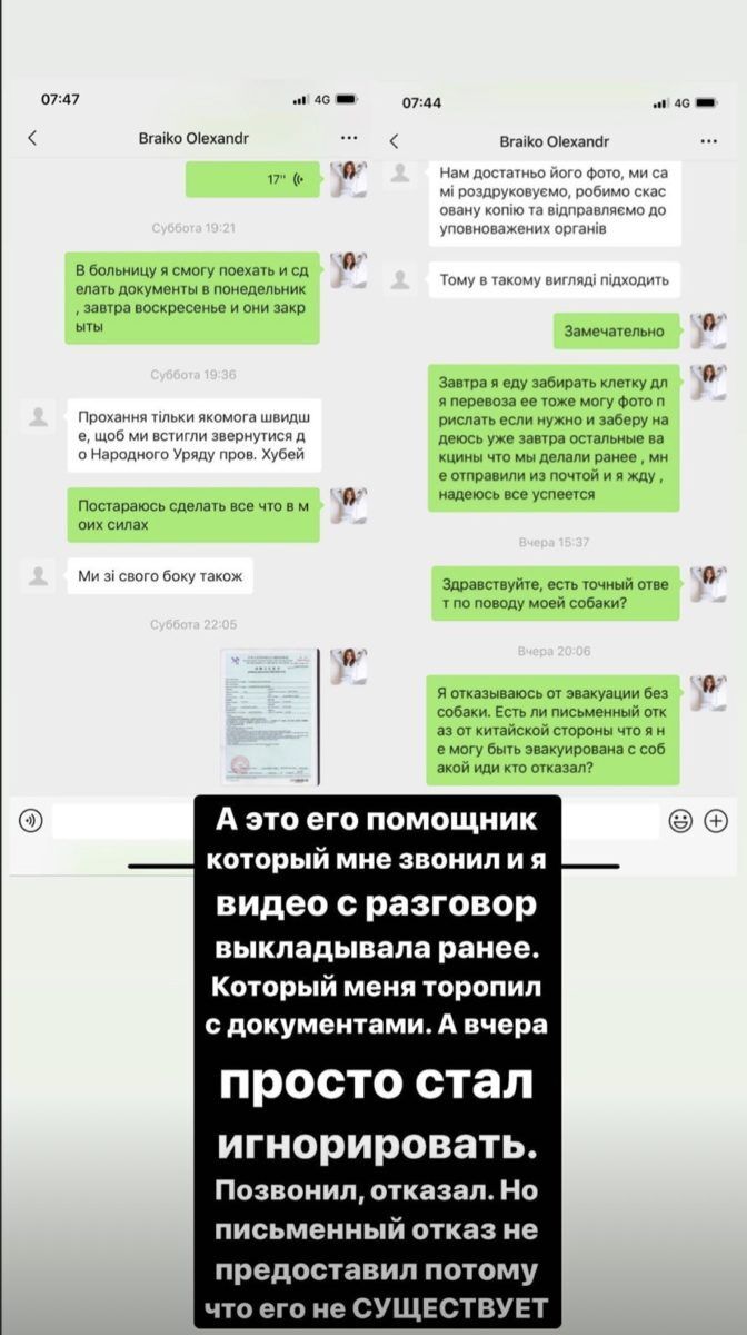 «Посольство отказало в эвакуации»: Украинка остается в Ухане из-за собаки