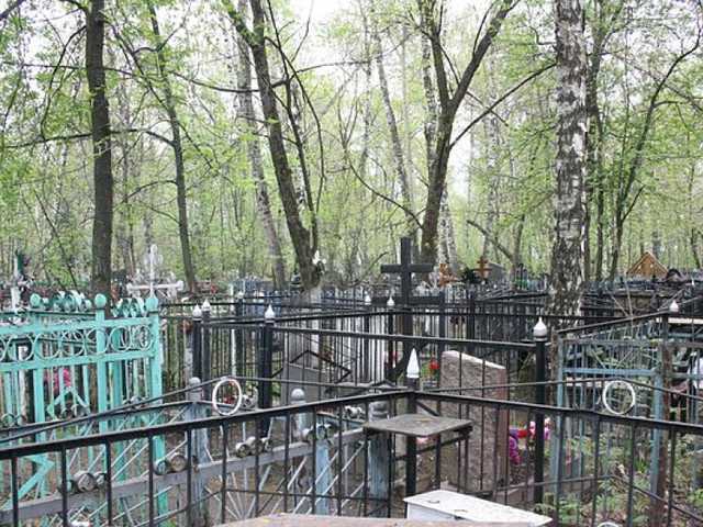 Бедные просто вымрут: медреформа — неприкрытый геноцид украинцев