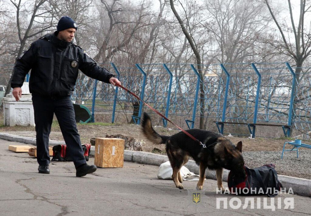 Знайдуть злочинця у натовпі та в лісі: як поліцейські кінологи та їх чотирилапі помічники іспити складали