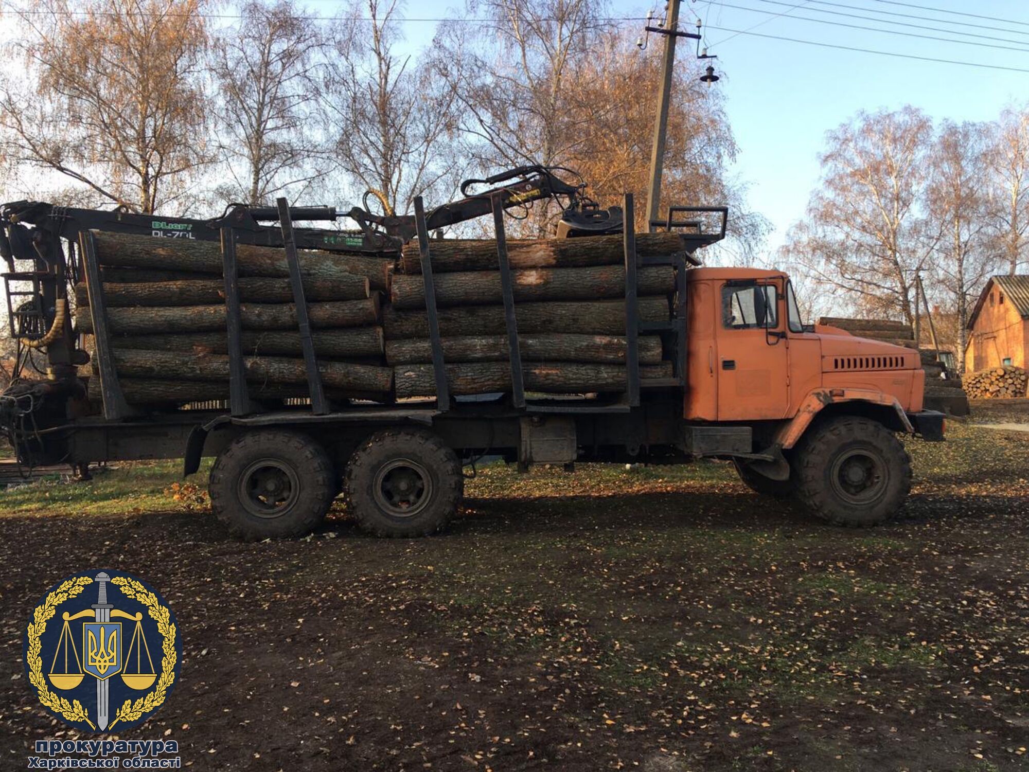 Вирубка лісу на Харківщині на понад 98 мільйонів гривень: 8 службових осіб ДП «Жовтневе лісове господарство» відповідатимуть перед Законом