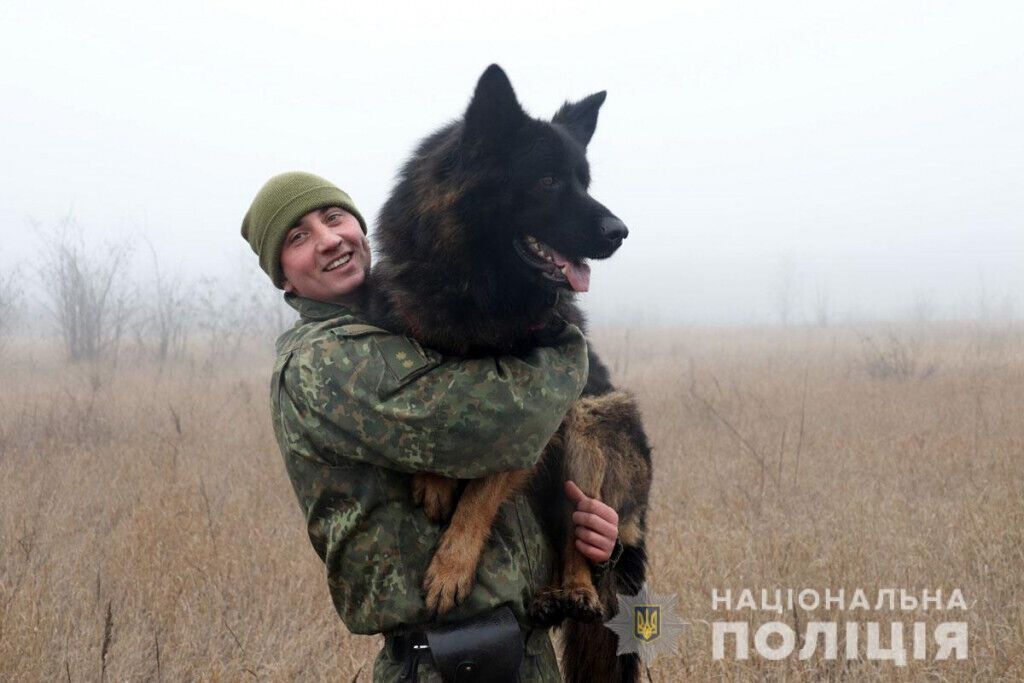 Знайдуть злочинця у натовпі та в лісі: як поліцейські кінологи та їх чотирилапі помічники іспити складали
