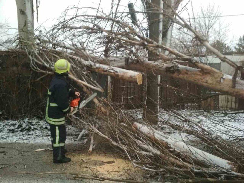 Запорізька область: за добу рятувальники 9 разів надавали допомогу населенню через негоду