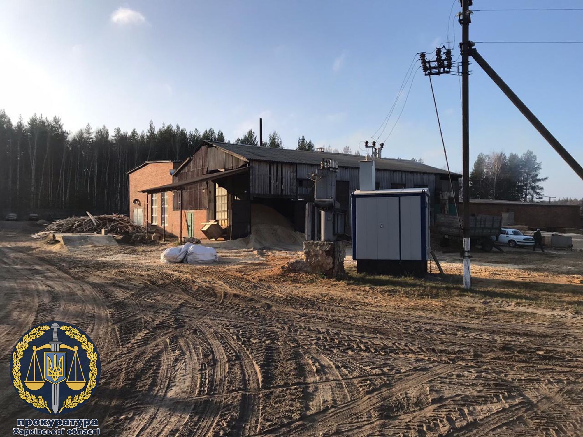 Вирубка лісу на Харківщині на понад 98 мільйонів гривень: 8 службових осіб ДП «Жовтневе лісове господарство» відповідатимуть перед Законом