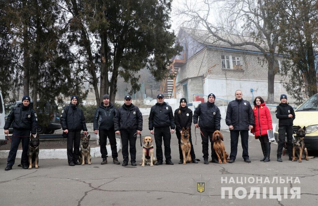 Знайдуть злочинця у натовпі та в лісі: як поліцейські кінологи та їх чотирилапі помічники іспити складали