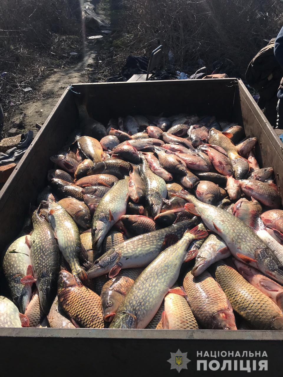 На Дністрі в Біляївському районі правоохоронці викрили браконьєрів