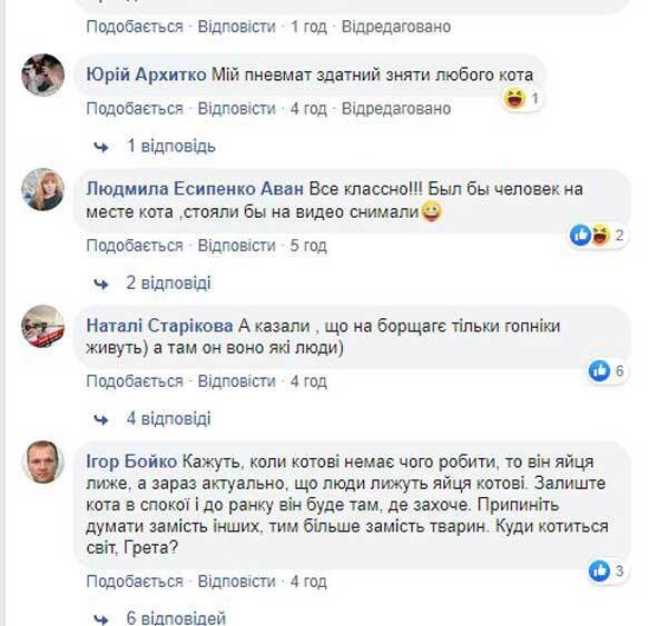 В Киеве на Борщаговке провели ''спецоперацию'' по спасению кота