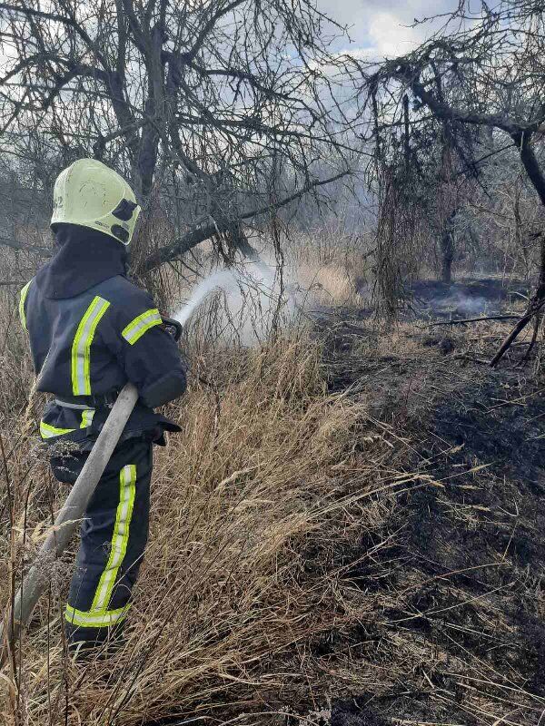 Київська область: рятувальники ліквідовують загоряння в екосистемах