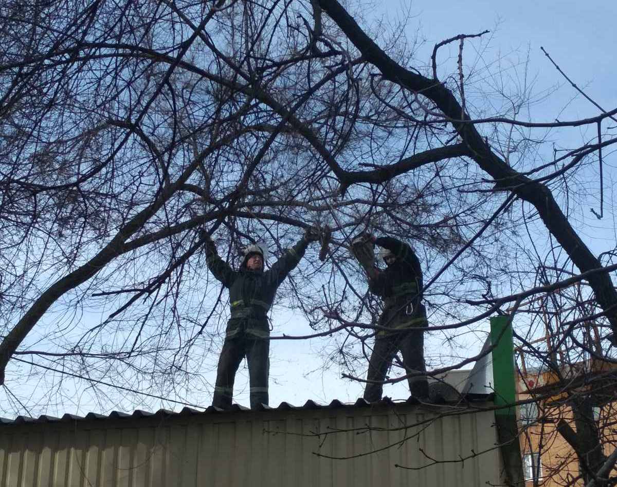 На Кіровоградщині рятувальники продовжують долати наслідки негоди