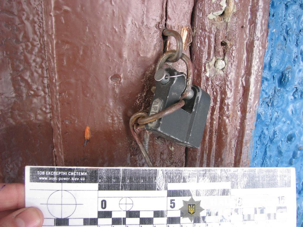 За крадіжку майна з будинку подільчанина місцеву мешканку засудили до позбавлення волі