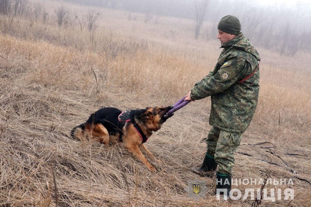 Знайдуть злочинця у натовпі та в лісі: як поліцейські кінологи та їх чотирилапі помічники іспити складали