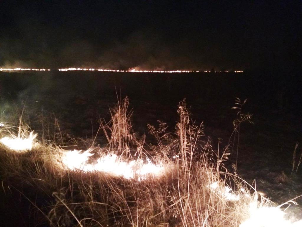 Житомирська область: упродовж доби вогнеборці ліквідували дві пожежі в екосистемах, на загальній площі 5 га