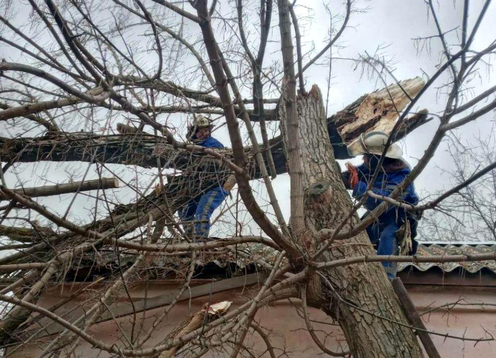 Одеська область: рятувальники деблокували газову магістраль від дерева, що впало