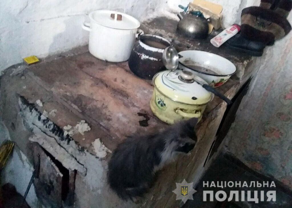 У Покровську поліцейські встановлюють обставини отримання 3-річним хлопчиком тілесних ушкоджень