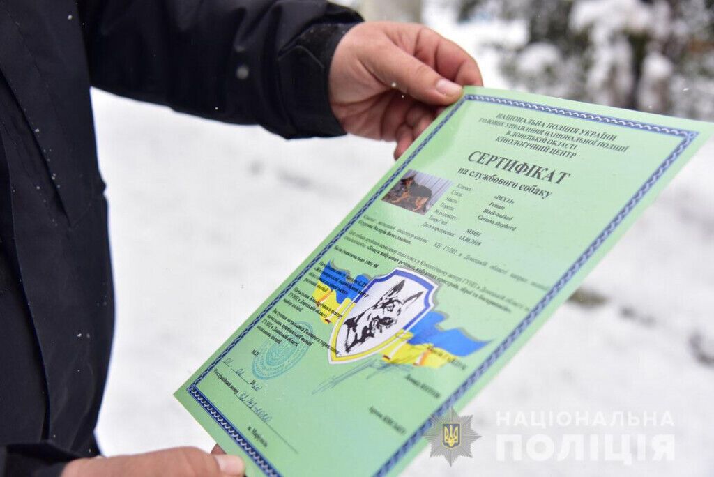 Знайдуть злочинця у натовпі та в лісі: як поліцейські кінологи та їх чотирилапі помічники іспити складали