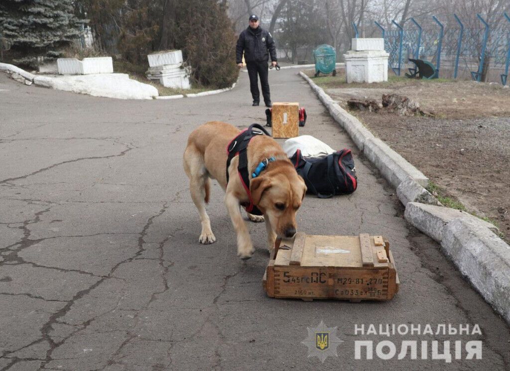 Знайдуть злочинця у натовпі та в лісі: як поліцейські кінологи та їх чотирилапі помічники іспити складали