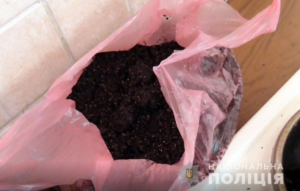 У Добропільському районі поліцейські ліквідували наркопритон