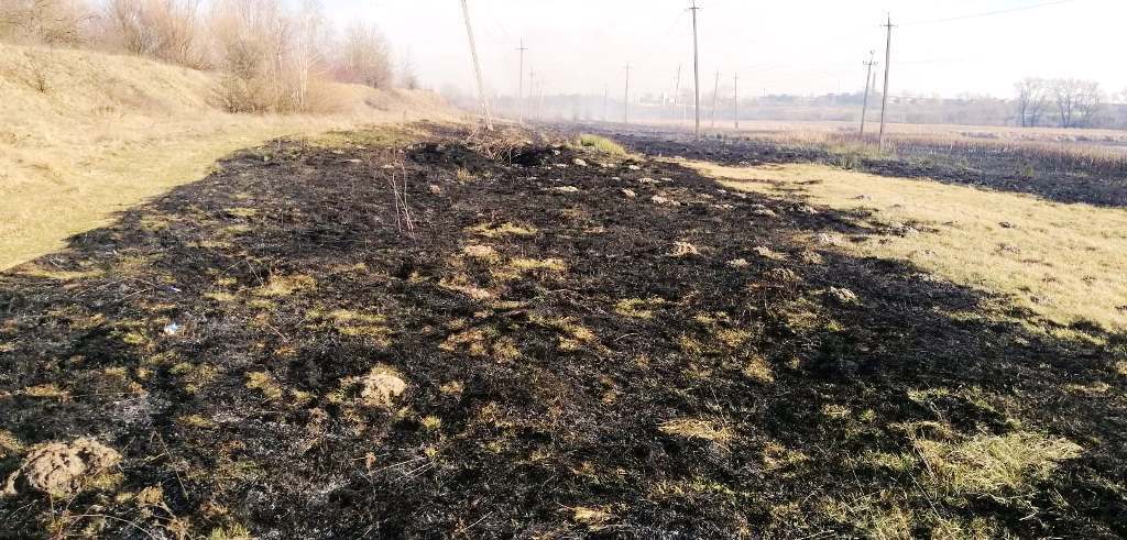 Житомирська область: упродовж доби вогнеборцями ліквідовано 7 пожеж в екосистемах, на загальній площі 9 га