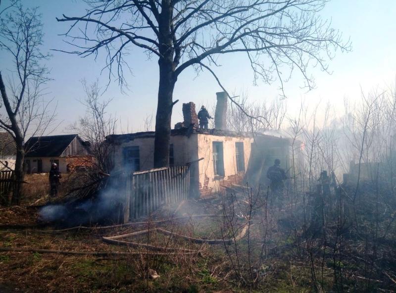 Житомирська область: упродовж доби вогнеборцями ліквідовано 29 займань сухостою