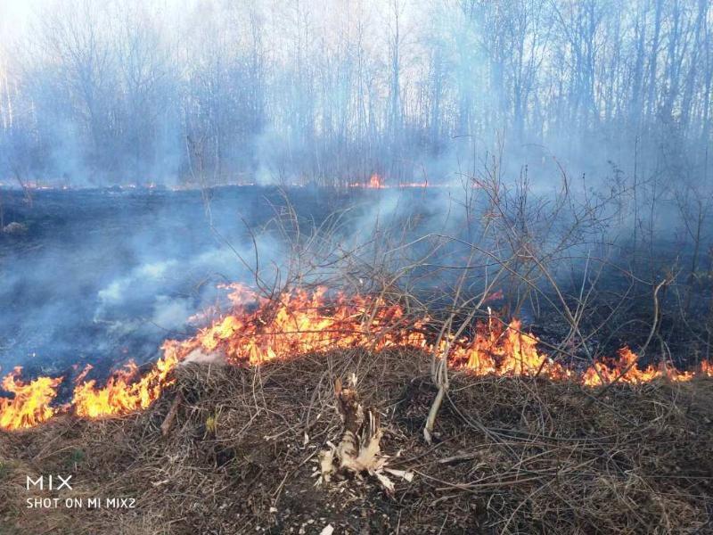 Житомирська область: упродовж доби вогнеборцями ліквідовано 29 займань сухостою
