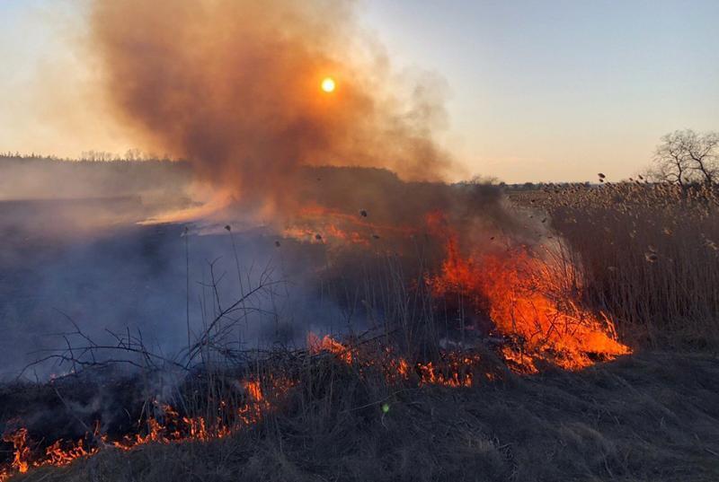 Дніпропетровська область: ліквідовано пожежу у лісі