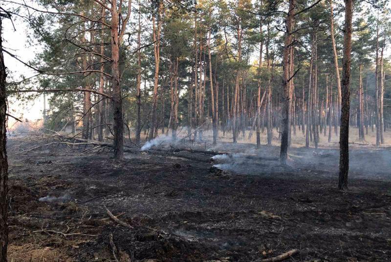 Дніпропетровська область: ліквідовано пожежу у лісі