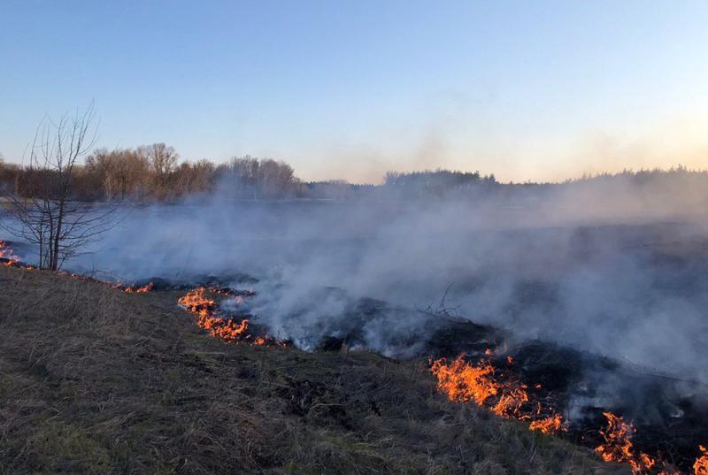 Дніпропетровська область: ліквідовано пожежу у лісі