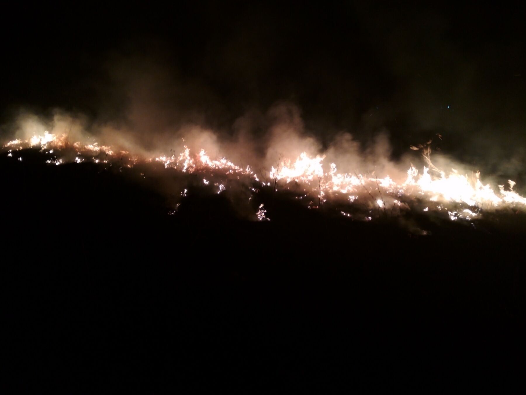 Житомирська область: упродовж доби вогнеборцями області ліквідовано два загоряння сухостою