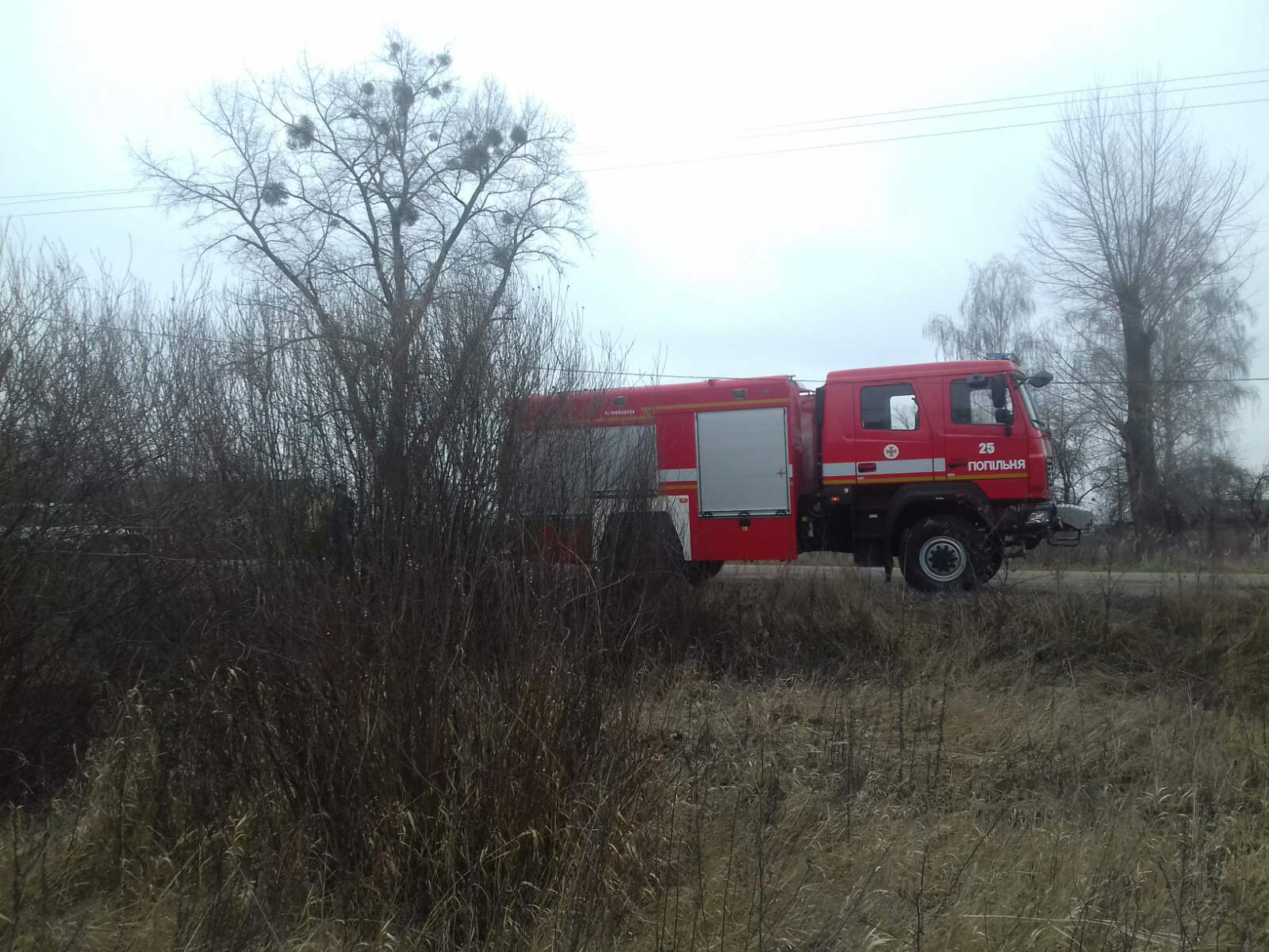 Житомирська область: упродовж доби вогнеборцями області ліквідовано два загоряння сухостою