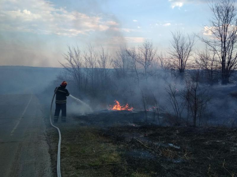 Луганська область: за минулу добу рятувальники 18 разів виїжджали на гасіння сухої трави, очерету та сміття, загальною площею 19,88 га