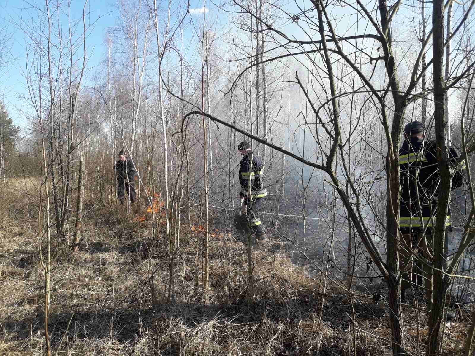 Житомирська область: за добу вогнеборцями області ліквідовано 17 пожеж сухотрав’я