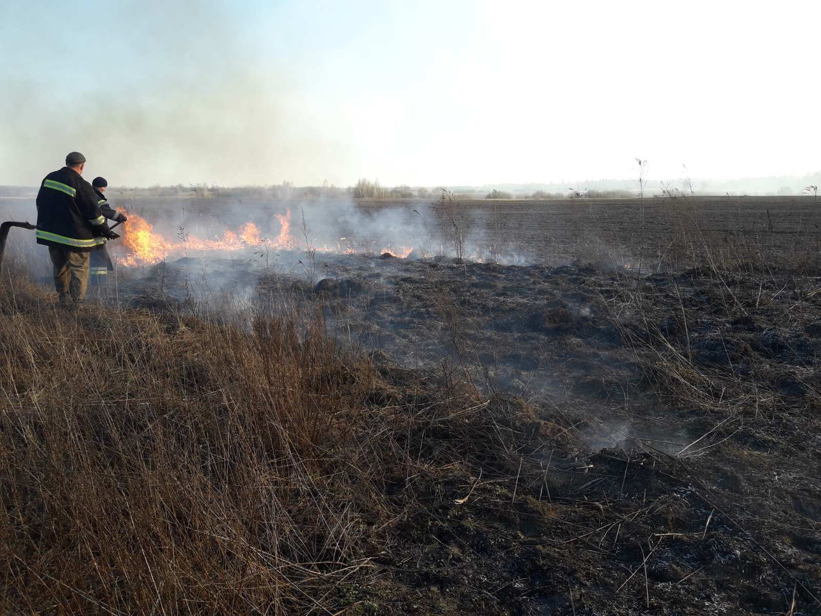 Житомирська область: за добу вогнеборцями області ліквідовано 17 пожеж сухотрав’я