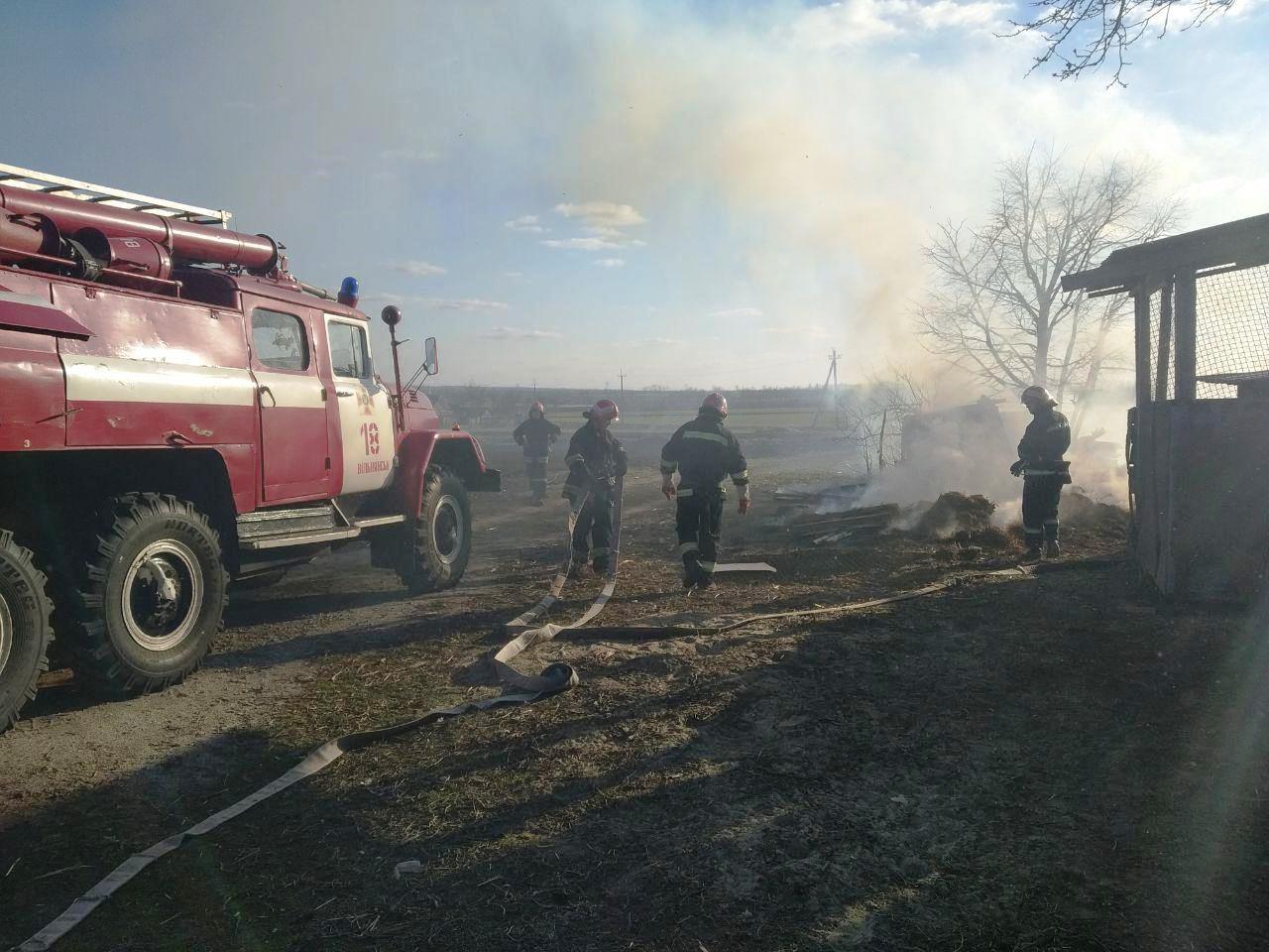 Запорізька область: рятувальники ліквідували пожежу у господарчій споруді