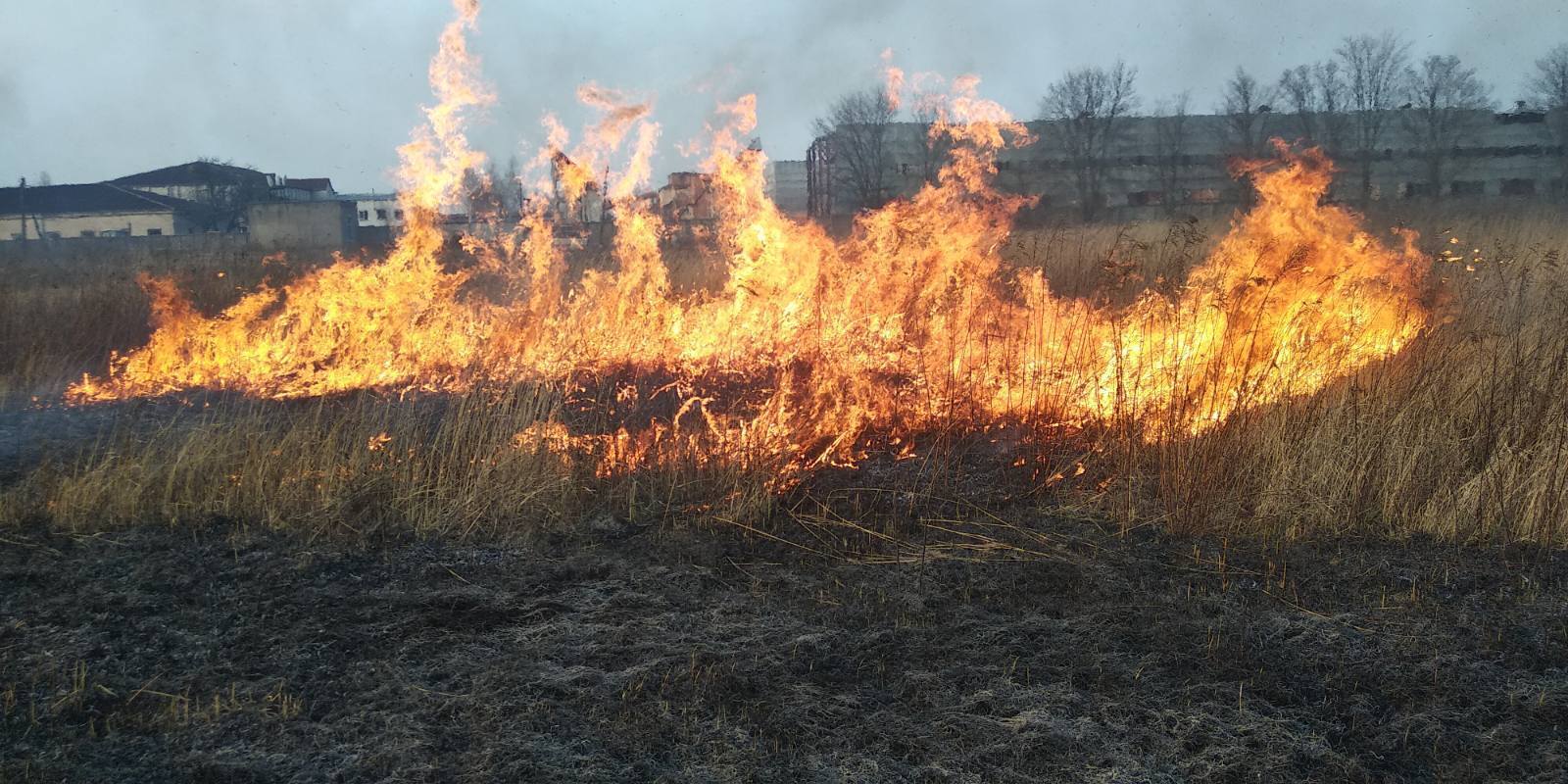 Житомирська область: рятувальники ліквідували загоряння сухотрав’я, що перекинулося на приватне домоволодіння