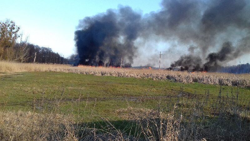 Київська область: запах паленої трави та сміття - один з невід'ємних атрибутів весни