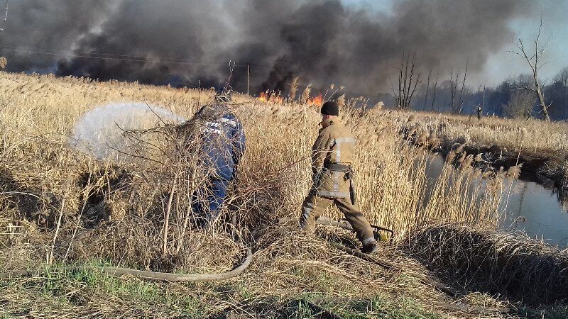 Київська область: запах паленої трави та сміття - один з невід'ємних атрибутів весни