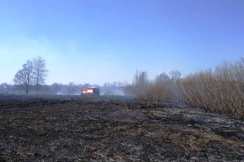 Чернігівська область: впродовж доби вогнеборці ліквідували 16 пожеж у природних екосистемах, одна людина загинула