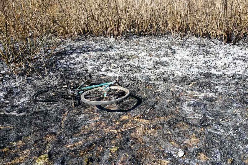 Чернігівська область: впродовж доби вогнеборці ліквідували 16 пожеж у природних екосистемах, одна людина загинула