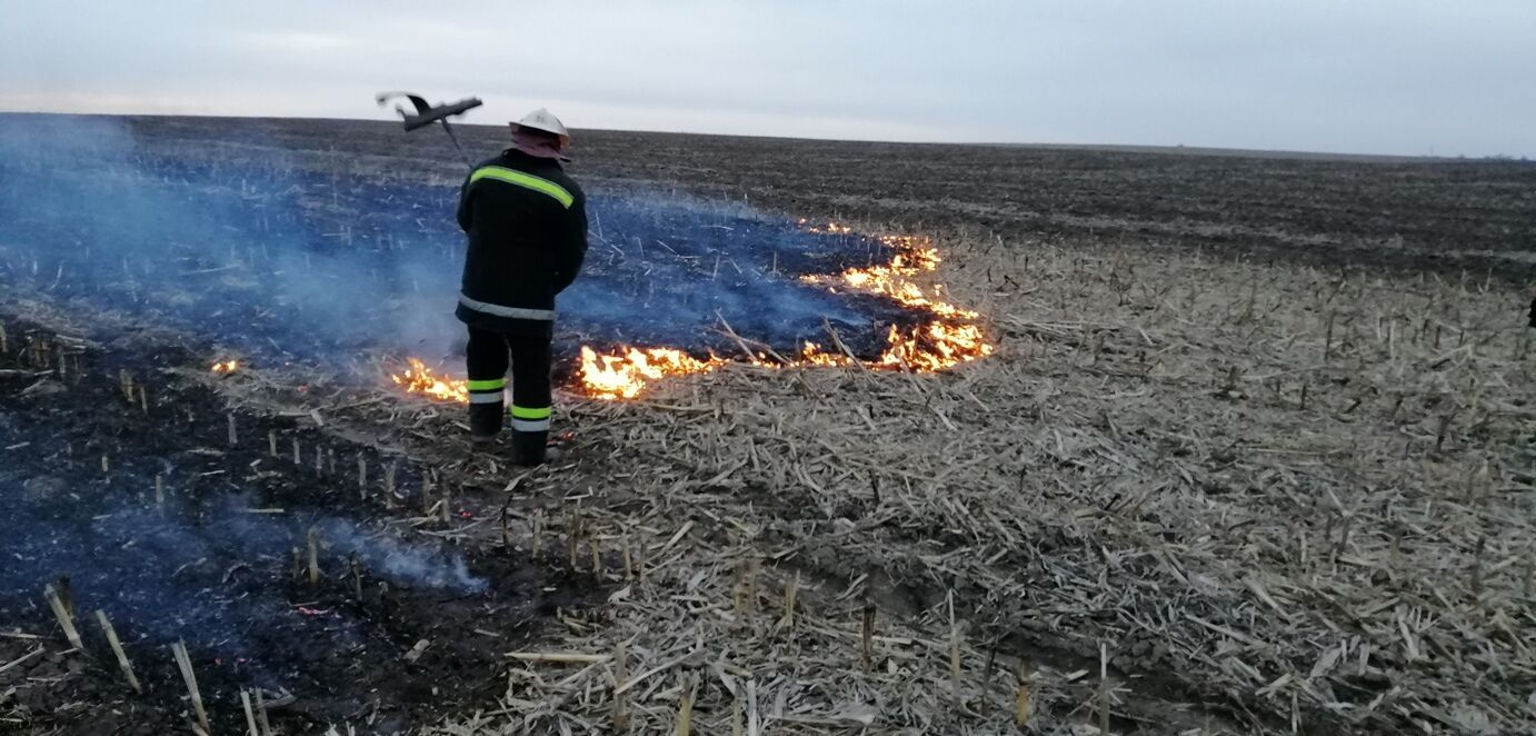 Впродовж доби вогнеборці Кіровоградщини ліквідували 11 пожеж сухої рослинності та сміття на відкритій місцевості