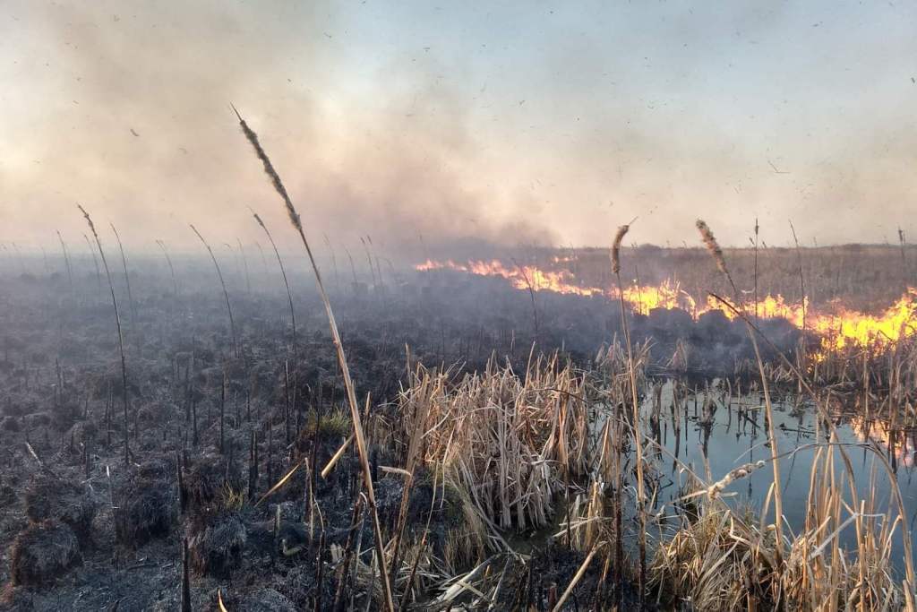Упродовж минулої доби на Чернігівщині вогнеборці ліквідували 39 пожеж