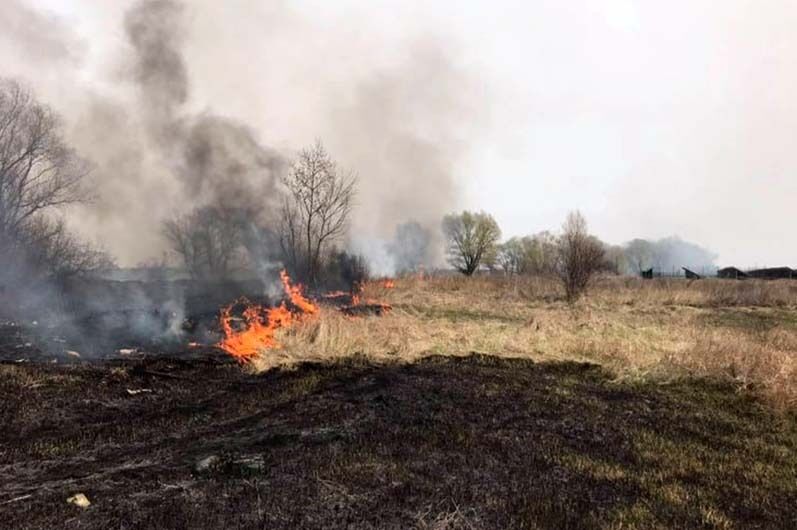 На Дніпропетровщині вогнеборці долають пожежі в екосистемах