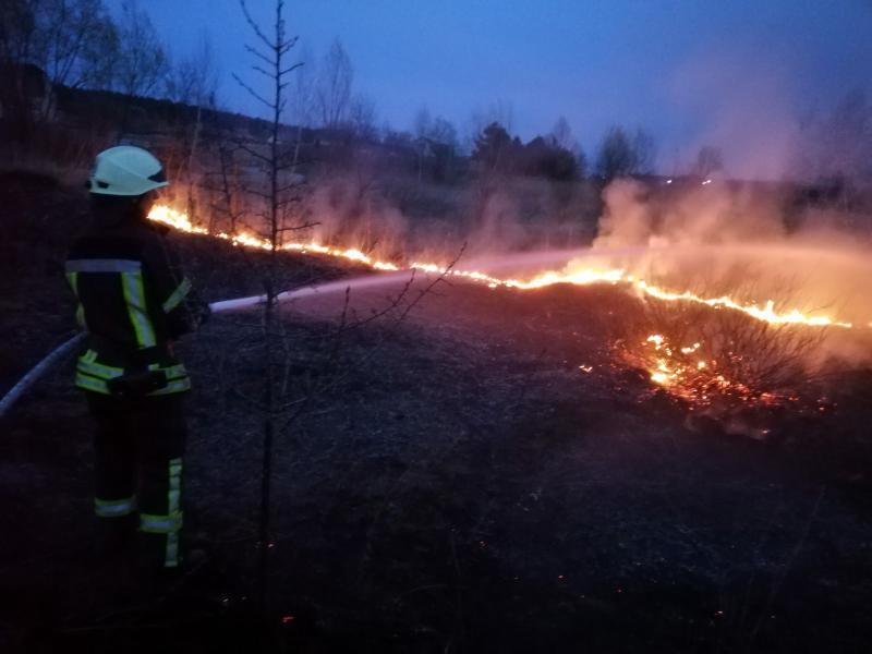 Луганська область: великі пожежі в екосистемах