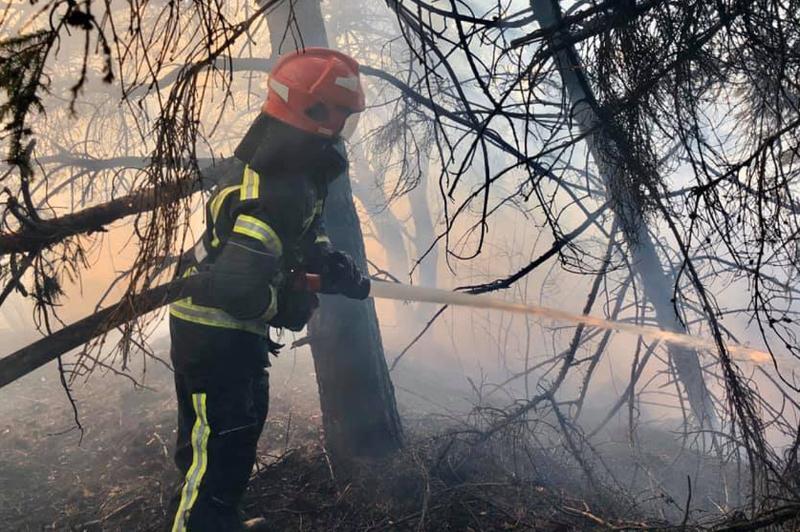 Хмельницкая область: Пожарные продолжают бороться с огненной стихией в природных экосистемах