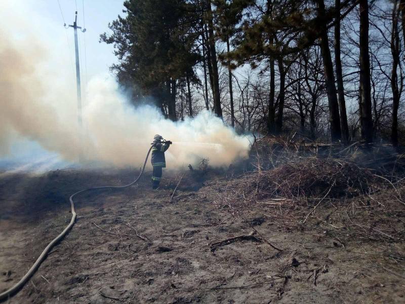 Вінницька область: за минулу добу ліквідовано 43 пожежі в екосистемах