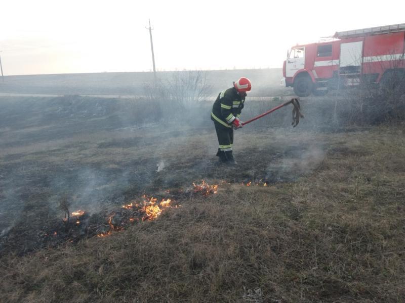Kirovohrad region: For the day past, 9 hares are liquidated in the open territory