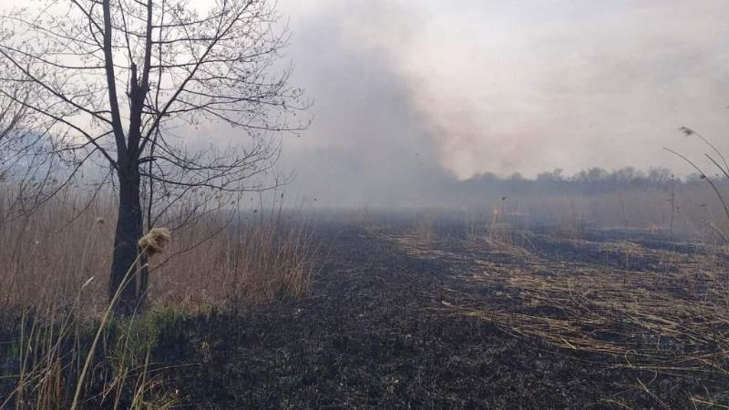 Черкаська область: пожежі сухої трави