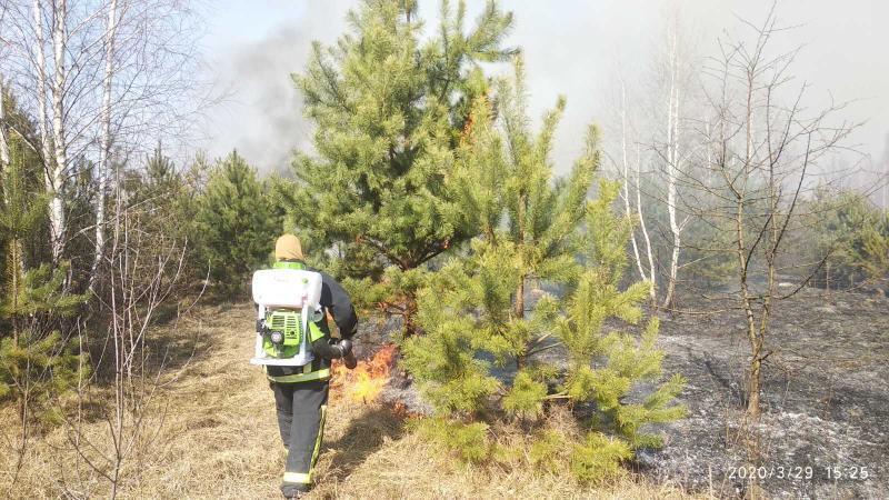 Житомирська область: упродовж минулої доби вогнеборцями області ліквідовано 56 пожеж сухої рослинності та ще 8 – сміття
