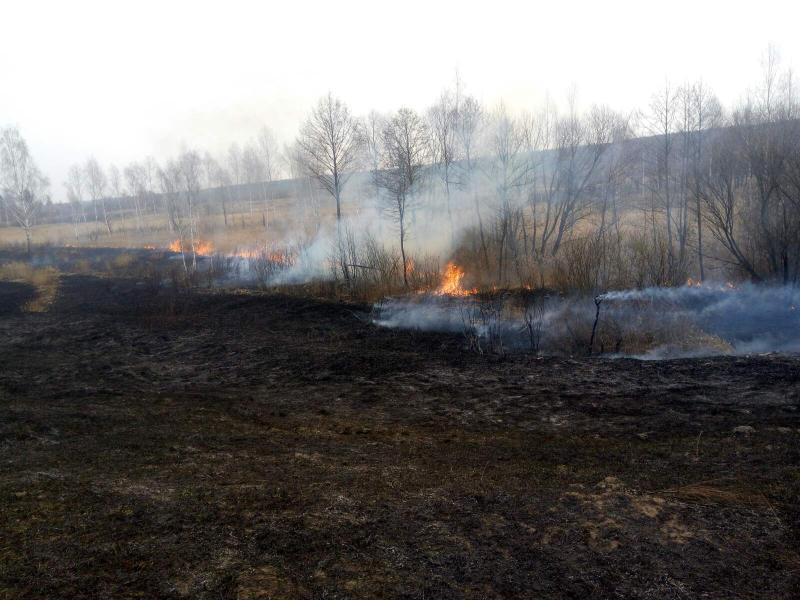 Житомирська область: упродовж минулої доби вогнеборцями області ліквідовано 56 пожеж сухої рослинності та ще 8 – сміття